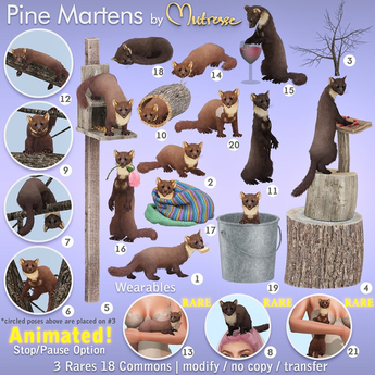 Second Life Marketplace - Mutresse - Pine Martens - 5